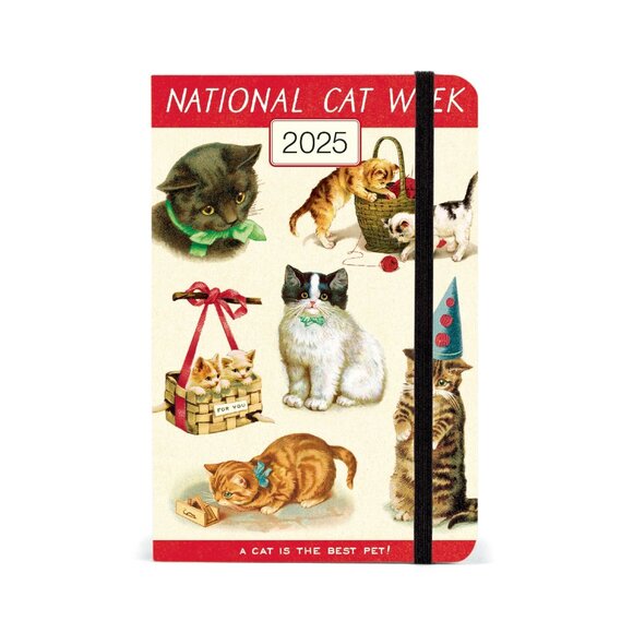Cavallini & Co. Cats 2025 Pocket Weekly Planner, 4"x6" - Picture 1 of 8